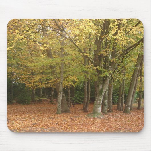 Herbstbäume Mousepad (Vorne)