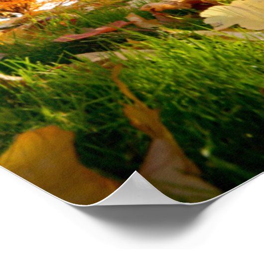 Herbstbäume Poster (Ecke)