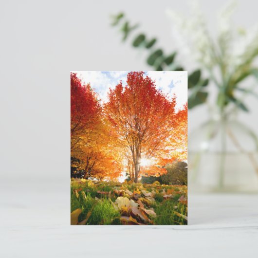Herbstbäume Postkarte (Stehend Vorderseite)