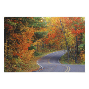 Herbstbäume säumen die Straße im Itasca State Park Fotodruck