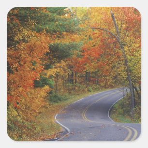 Herbstbäume säumen die Straße im Itasca State Park Quadratischer Aufkleber