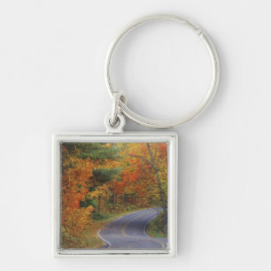 Herbstbäume säumen die Straße im Itasca State Park Schlüsselanhänger