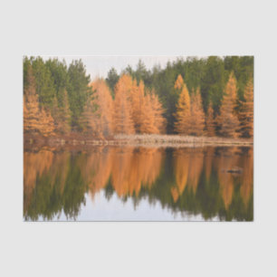 Herbstbäume See Farbige Orange Herbst Thema Seidenpapier
