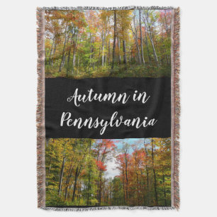 Herbstbäume und blauer Himmel Herbst-Naturfotograf Decke