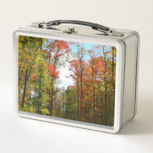 Herbstbäume und blauer Himmel Herbst-Naturfotograf Metall Brotdose