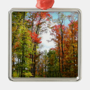 Herbstbäume und blauer Himmel Herbst-Naturfotograf Silbernes Ornament