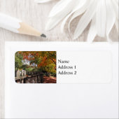 Herbstbäume und Picketzaun (Insitu)
