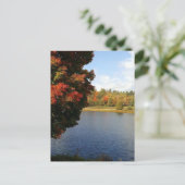 Herbstbaumen in Ontario, Kanada Postkarte (Stehend Vorderseite)
