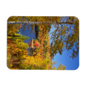 Herbstbaumlandschaft, Maine Magnet (Horizontal)