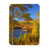 Herbstbaumlandschaft, Maine Magnet (Vertikal)