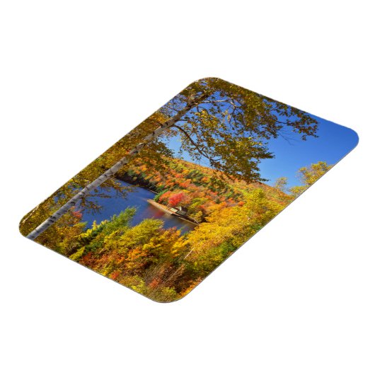 Herbstbaumlandschaft, Maine Magnet (Linke Seite)
