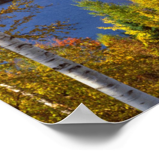 Herbstbaumlandschaft, Maine Poster (Ecke)