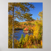 Herbstbaumlandschaft, Maine Poster (Vorne)