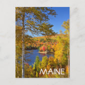 Herbstbaumlandschaft, Maine Postkarte (Vorderseite)