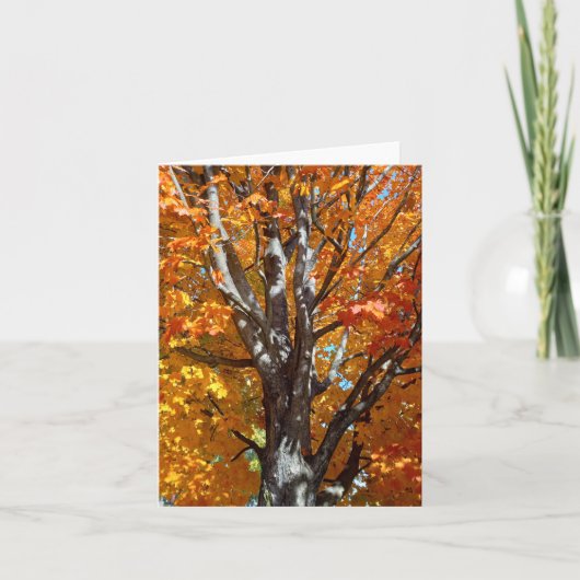 Herbstbaumschatten-Merkkarte Dankeskarte (Vorderseite)