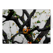 Herbstbaumzweige (Vorderseite (Horizontal))