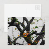 Herbstbaumzweige Postkarte (Vorne/Hinten)