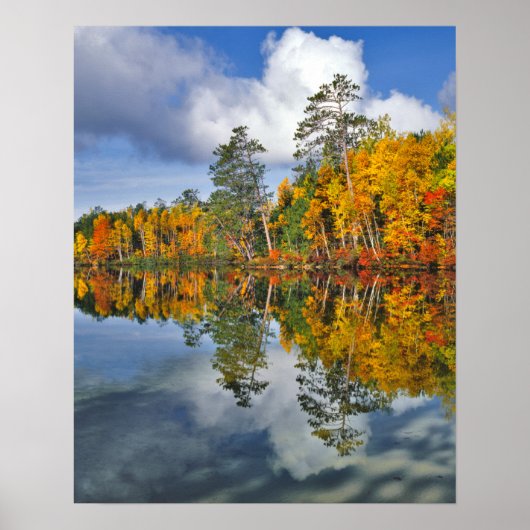 Herbstbeckenreflektionen, Maine Poster (Vorne)