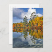 Herbstbeckenreflektionen, Maine Postkarte (Vorne/Hinten)