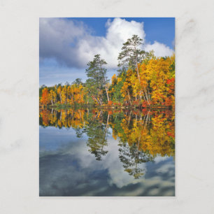 Herbstbeckenreflektionen, Maine Postkarte