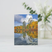 Herbstbeckenreflektionen, Maine Postkarte (Stehend Vorderseite)