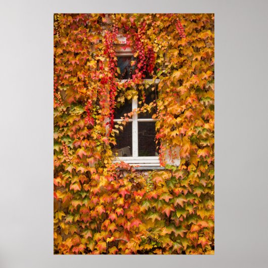 Herbstbedecktes Gebäude Poster (Vorne)