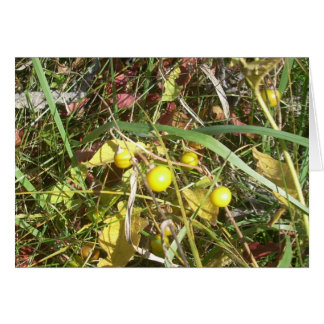 Herbstbeeren