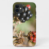 Herbstbeeren Case-Mate iPhone Hülle (Rückseite)