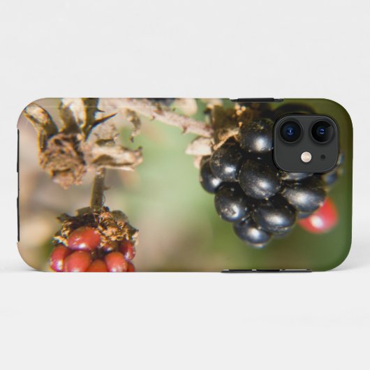 Herbstbeeren Case-Mate iPhone Hülle (Rückseite (Horizontal))