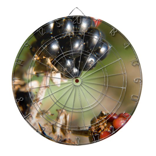 Herbstbeeren Dartscheibe (vorne)