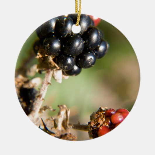 Herbstbeeren Keramikornament (Vorne)