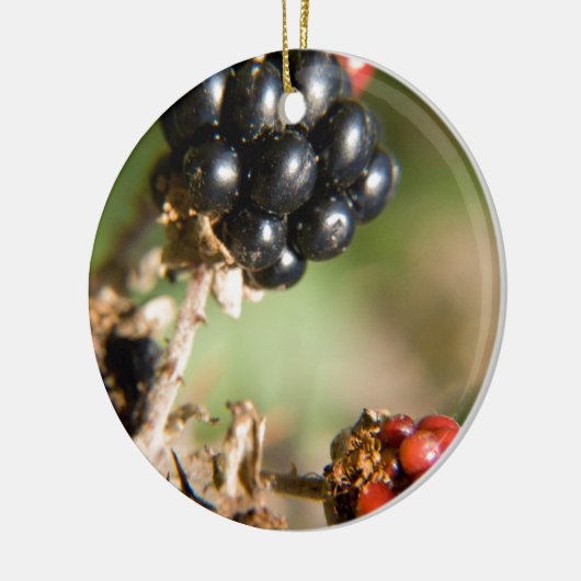 Herbstbeeren Keramikornament (Links)