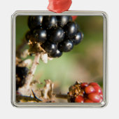 Herbstbeeren Ornament Aus Metall (Vorne)