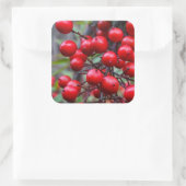 Herbstbeeren Quadratischer Aufkleber (Tasche)