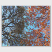 Herbstbeginn Geschenkpapier (Flach)