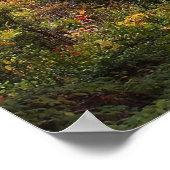 Herbstbeginn Poster (Ecke)