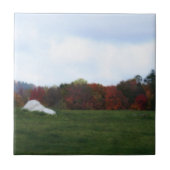 Herbstbelag Naturkunst Tile Fliese (Vorderseite)