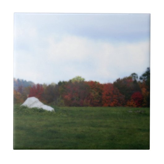 Herbstbelag Naturkunst Tile Fliese (Vorderseite)