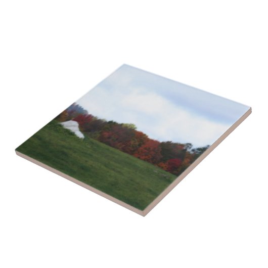 Herbstbelag Naturkunst Tile Fliese (Seite)