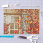 Herbstbelassen rotes gelbes Antiquitätenfenster Seidenpapier (Handwerk)