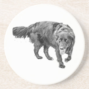 Herbstbeobachtung unter den Blätter Getränkeuntersetzer