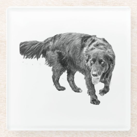 Herbstbeobachtung unter den Blätter Glasuntersetzer (Vorderseite)