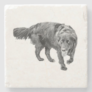 Herbstbeobachtung unter den Blätter Steinuntersetzer