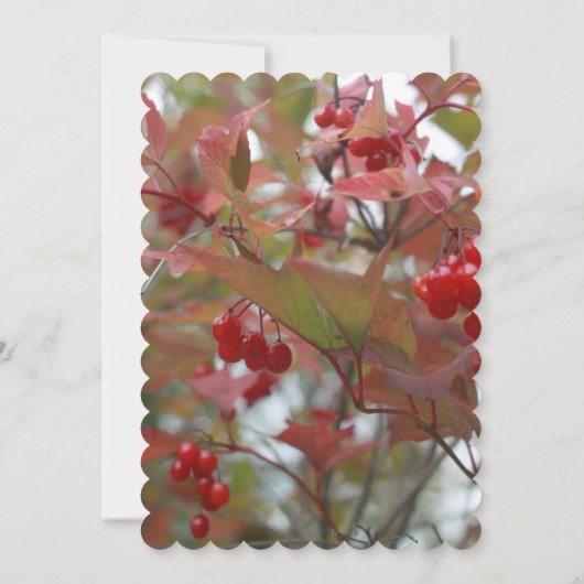 Herbstbergen Rustikale Herbstlaub Hochzeit Garten Einladung (Rückseite)