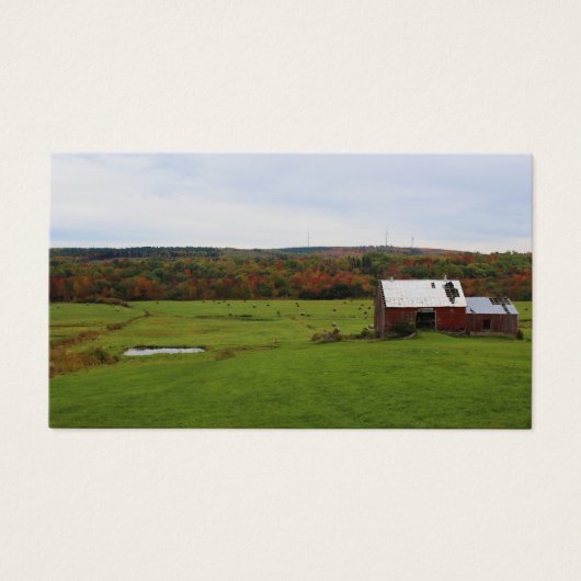 Herbstbetrieb (Vorderseite)