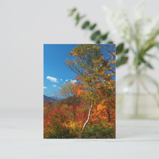 Herbstbilder Postkarte (Stehend Vorderseite)