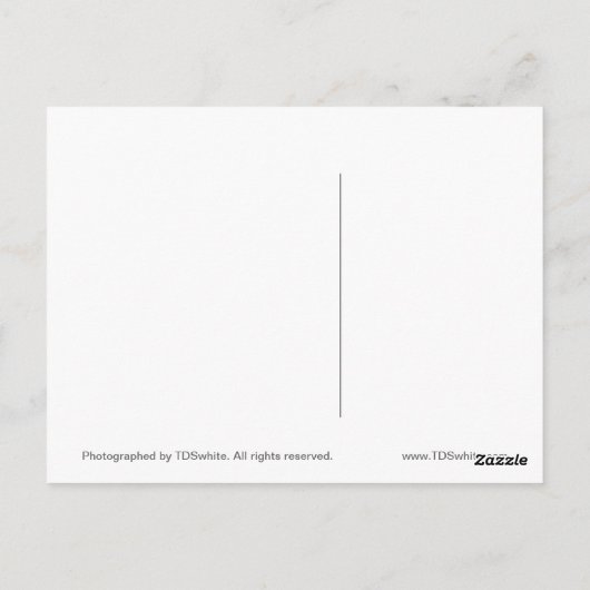 Herbstbilder Postkarte (Rückseite)