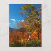 Herbstbilder Postkarte (Vorderseite)