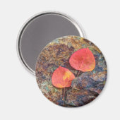 Herbstblatt auf Felsen, Kalifornien Magnet (Vorderseite/Rückseite)