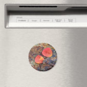 Herbstblatt auf Felsen, Kalifornien Magnet (In Situ (Geschirrspüler))